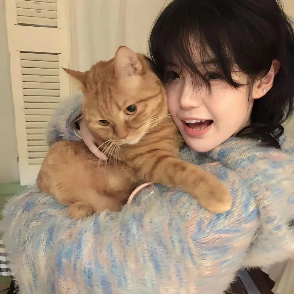 红蓝大作战第十七季