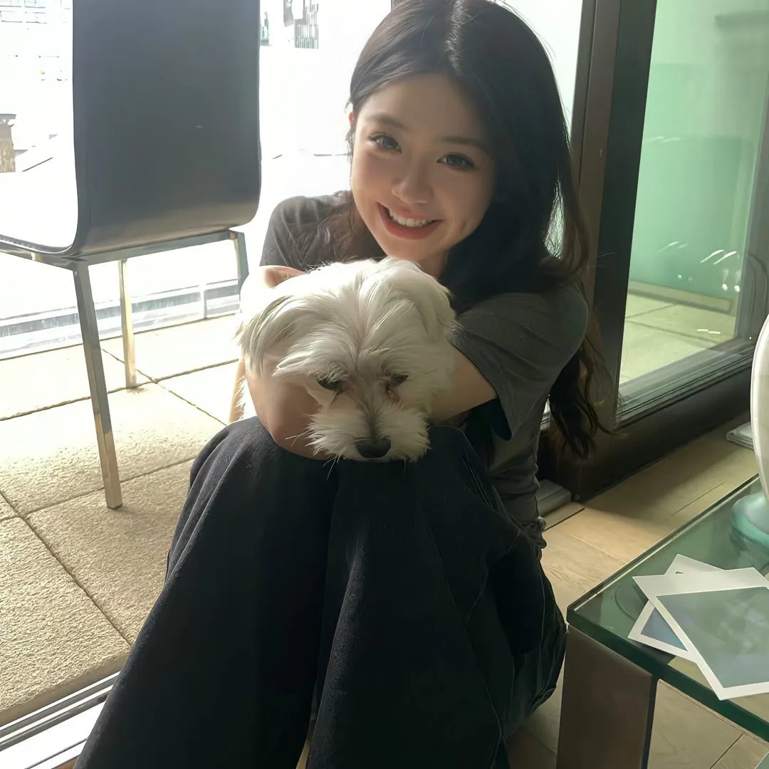 换乘恋爱，新的开始